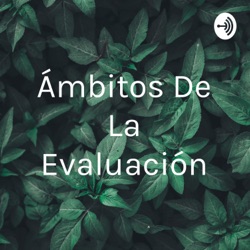 Ámbitos De La Evaluación