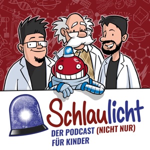 Schlaulicht