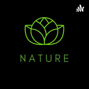 Nature sounds