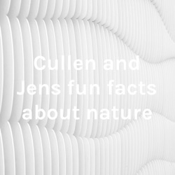 Cullen and Jens fun facts about nature
