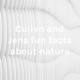 Cullen and Jens fun facts about nature