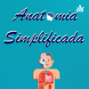 Anatomia Simplificada - Igor Augusto