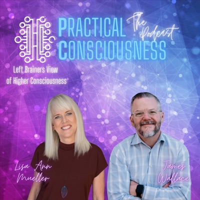 Practical Consciousness