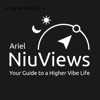 New Views with Ariel Niu artwork