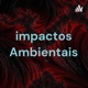 impactos Ambientais