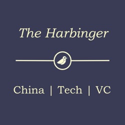 Where are the Most Promising VC Investment Opportunities in China?  - with Tina He and Adam Bao