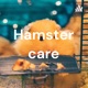 Hamster care