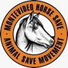 Montevideo Horse Save