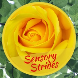 Sensory Strides #74; Chiropractor; Back Issues; Craft Camp - Illinois Homemakers Camp; She Podcasts Live