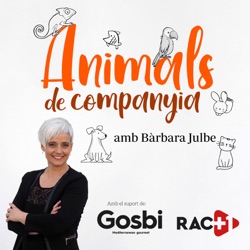 Animals de companyia