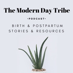 17:  The Modern Day Tribe Podcast interview with Nina Powers, Birth and Postpartum Doula, Period & Fertility Coach