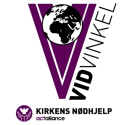 Vidvinkel