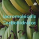 Macromoléculas (Carbohidratos)