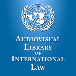 Chiara Giorgetti - Substantive Principles of International Investment Law