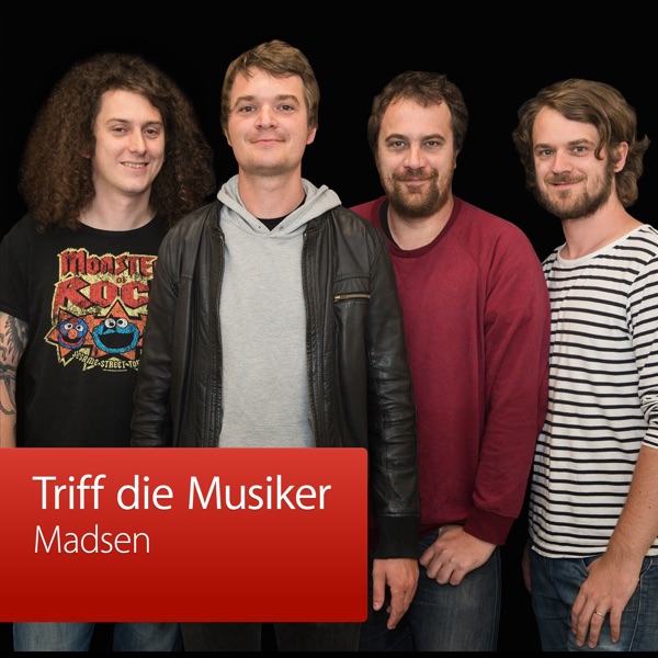 Madsen: Triff die Musiker