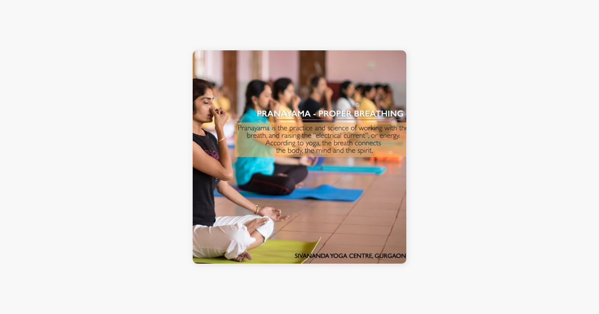 Sivananda Yoga Centre Gurgaon Guided