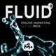 Fluid: Online Marketing with the Pros