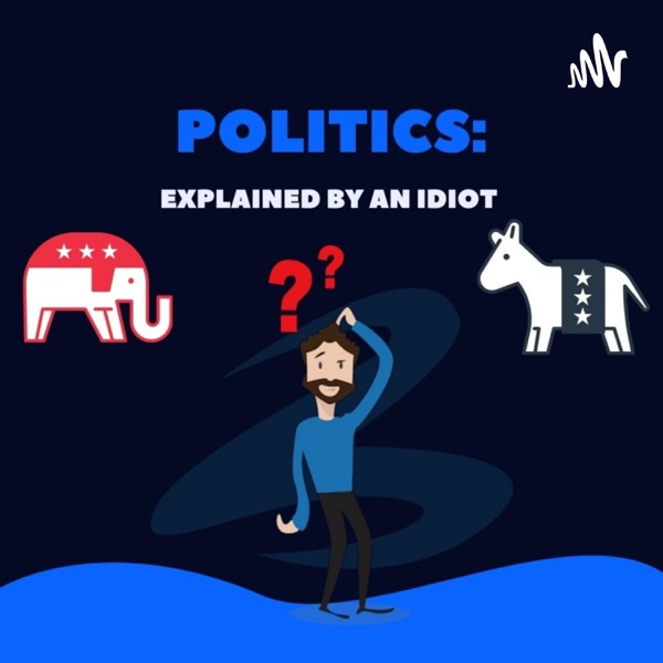 Politics: Explained by an Idiot Artwork