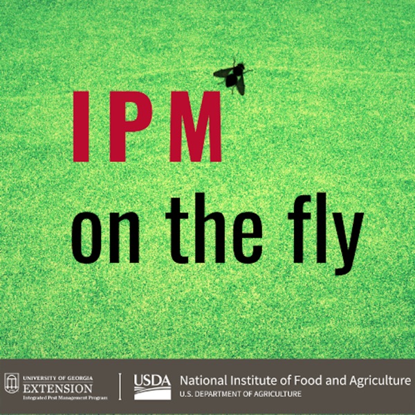 IPM On The Fly Artwork