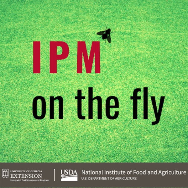 IPM On The Fly Artwork