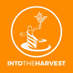 Into the Harvest