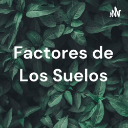 Factores de Los Suelos