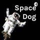 Space Dog