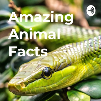 Amazing Animal Facts