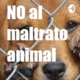 Campaña contra el maltrato animal