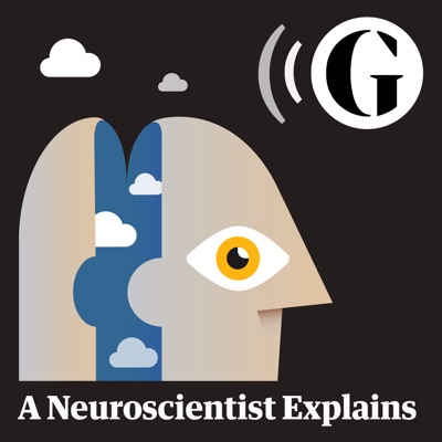 A Neuroscientist Explains A Neuroscientist Explains