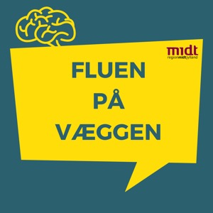 Fluen på Væggen