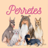 Perretes | Las razas de perros - Toñi Martinez