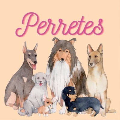 Perretes | Las razas de perros:Toñi Martinez