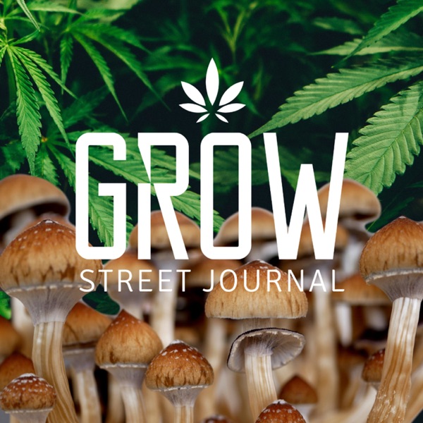 Grow Street Journal