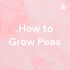 .How to Grow Peas artwork