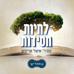 מאמר ד״ה אדם כי יקריב תרס״ו - חלק ב׳