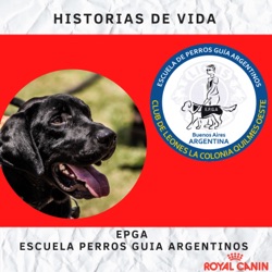 Escuela Perros Guia Argentinos