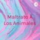 Maltrato A Los Animales