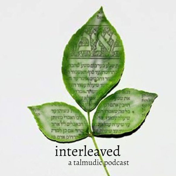 Interleaved: A Talmudic Podcast Artwork