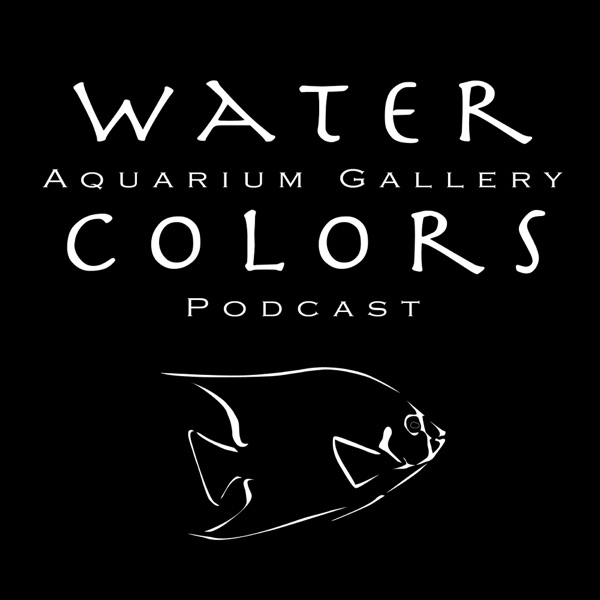 Water Colors Aquarium Gallery