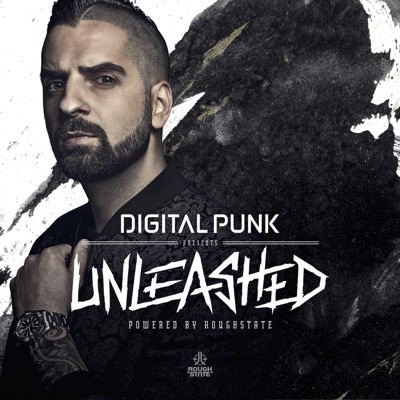 Digital Punk - Unleashed powered by Roughstate:Digital Punk