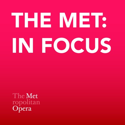 The Met: In Focus