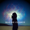 The Waking Cosmos Podcast - Adrian David Nelson