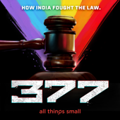 377: The legal battle against India’s anti-LGBTQ law - ATS Studio