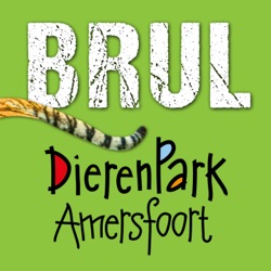 Zo leefde de gevaarlijke T-rex | BRUL #13