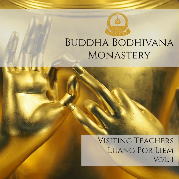 Visiting Teachers - LP Liem Vol.1 Artwork