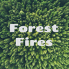 Forest Fires - Travis G