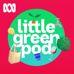 Little Green Pod