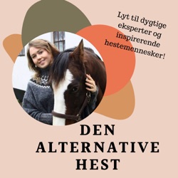 Den hele hest