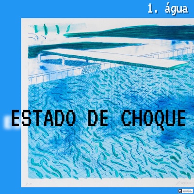 Estado de Choque